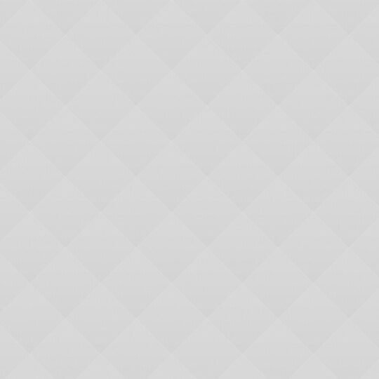 The Vintage Backpack