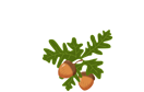 Oakwood Infant and Nursery School